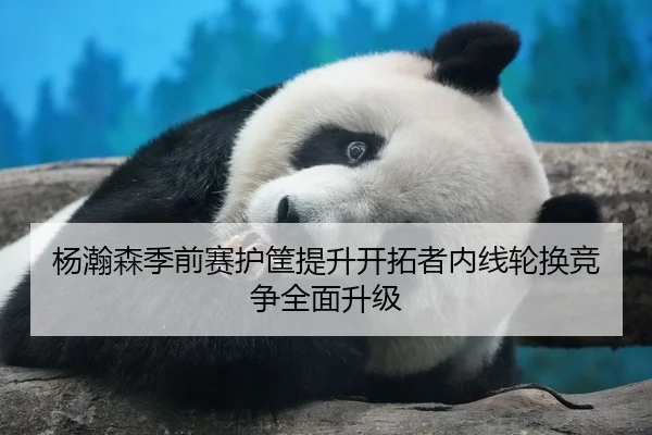 杨瀚森季前赛护筐提升开拓者内线轮换竞争全面升级
